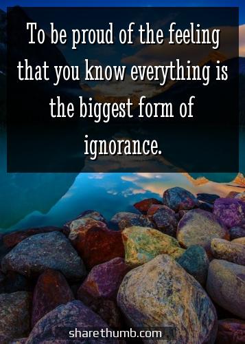 saying on ignorance